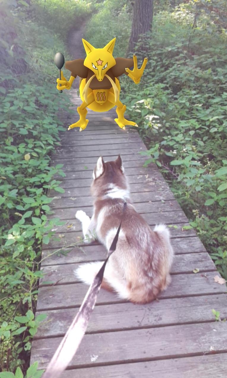 PokemonGoKadabra