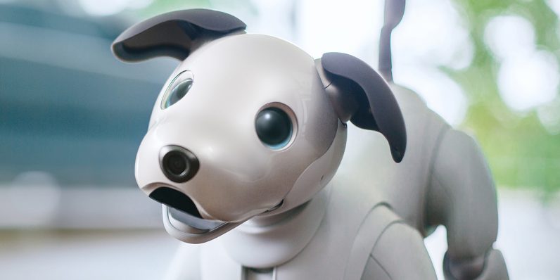 aibo chien robot