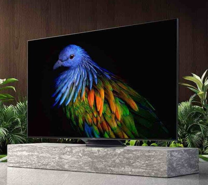 Xiaomi Mi TV ES 2022 10 001