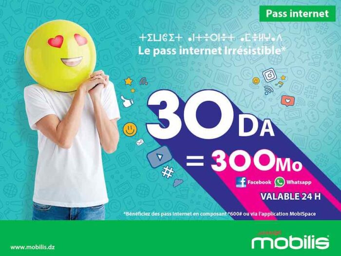 mobilis pass 24h